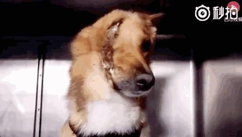 情感23张图片,23张爱与人性的照片