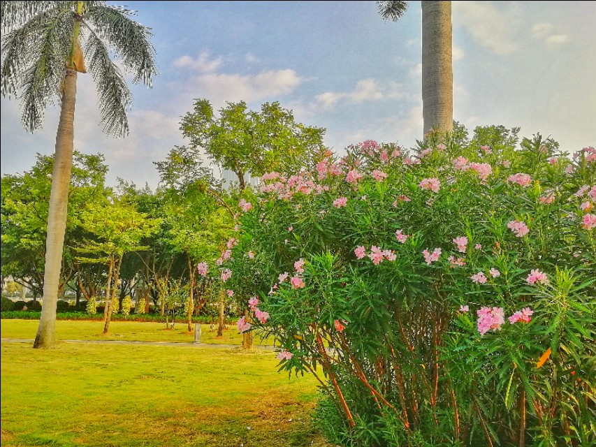 厦门筼筜书院视频,厦门筼筜书院介绍