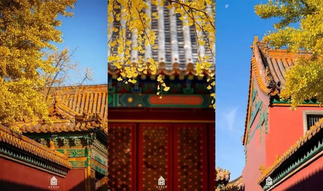 故宫流行色,上新了故宫第三季文创衣服产品