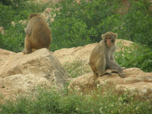 动物园附近周末去哪玩,周末两天亲子游好去处动物园
