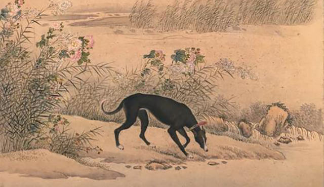 古人被狗咬了咋办,古代被狗咬古人怎么处理