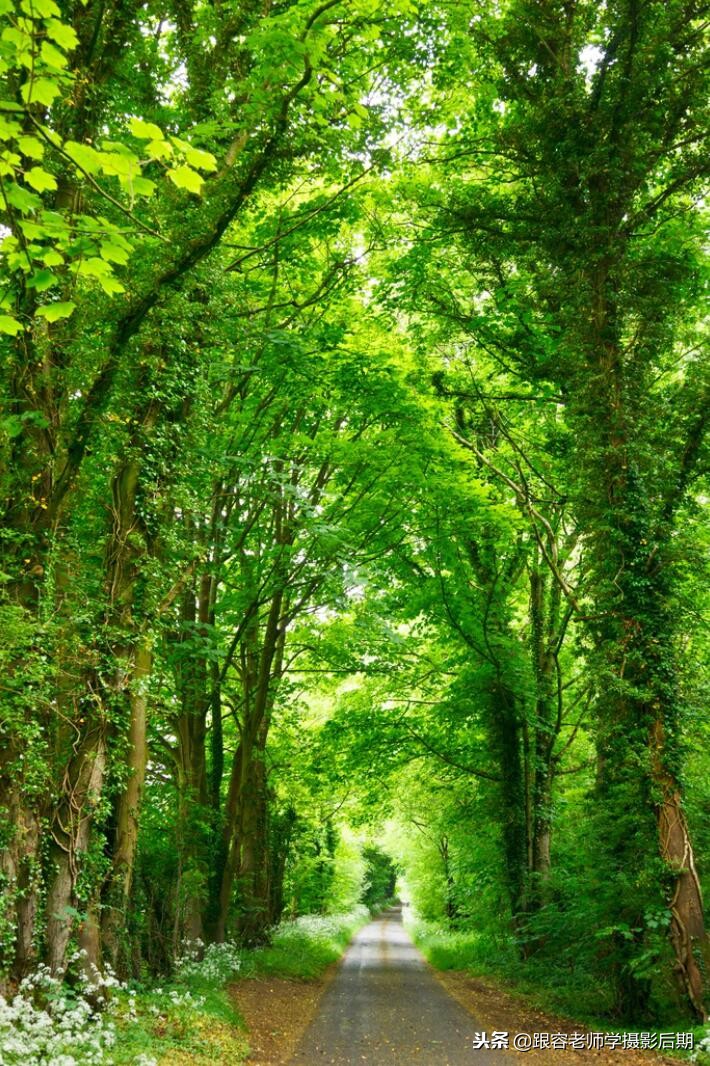 深秋的照片怎么调色,神奇的颜色视觉效果