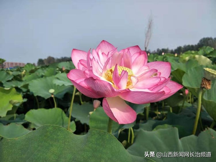 鎴戜滑韬竟鐨勬柊闂绘湁鍝簺,鎴戜滑韬竟鐨勪簩闈掍細灞辫タ