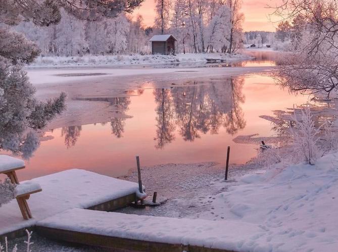 瑞典奇葩国家,瑞典发达的领域