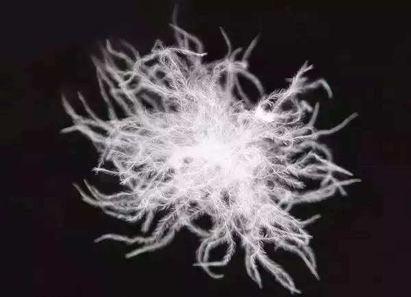 保暖内衣套装护膝盖宇航员,宇航员内衣保暖