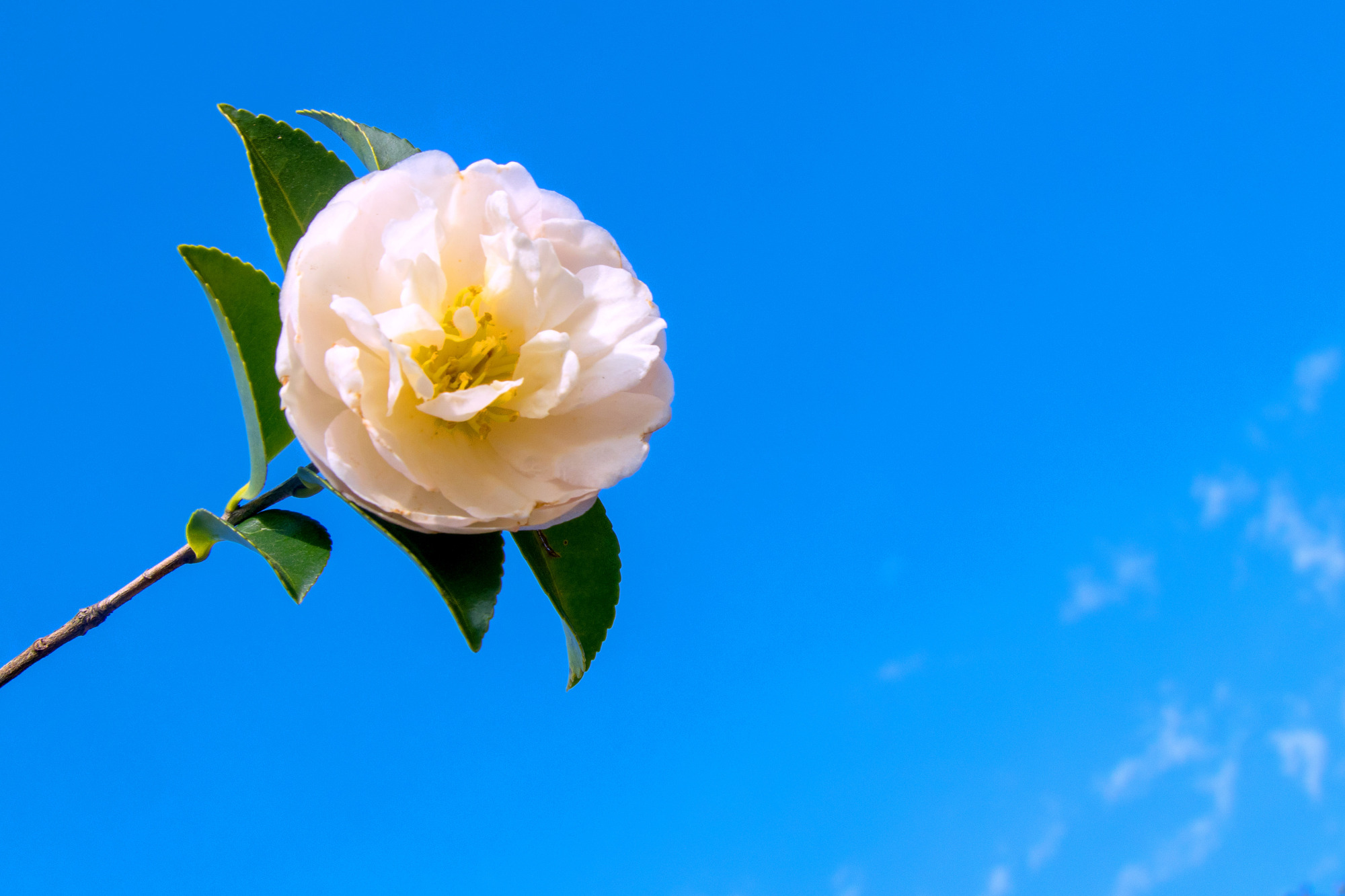 怎样用好35mm1.4光圈的镜头,最好的16-35mm镜头