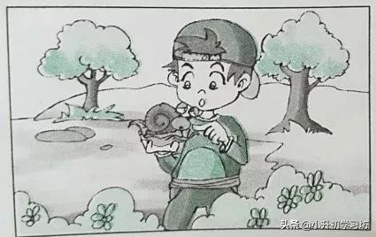 一年级开学第一天的看图写话,二年级寒假看图写话9篇