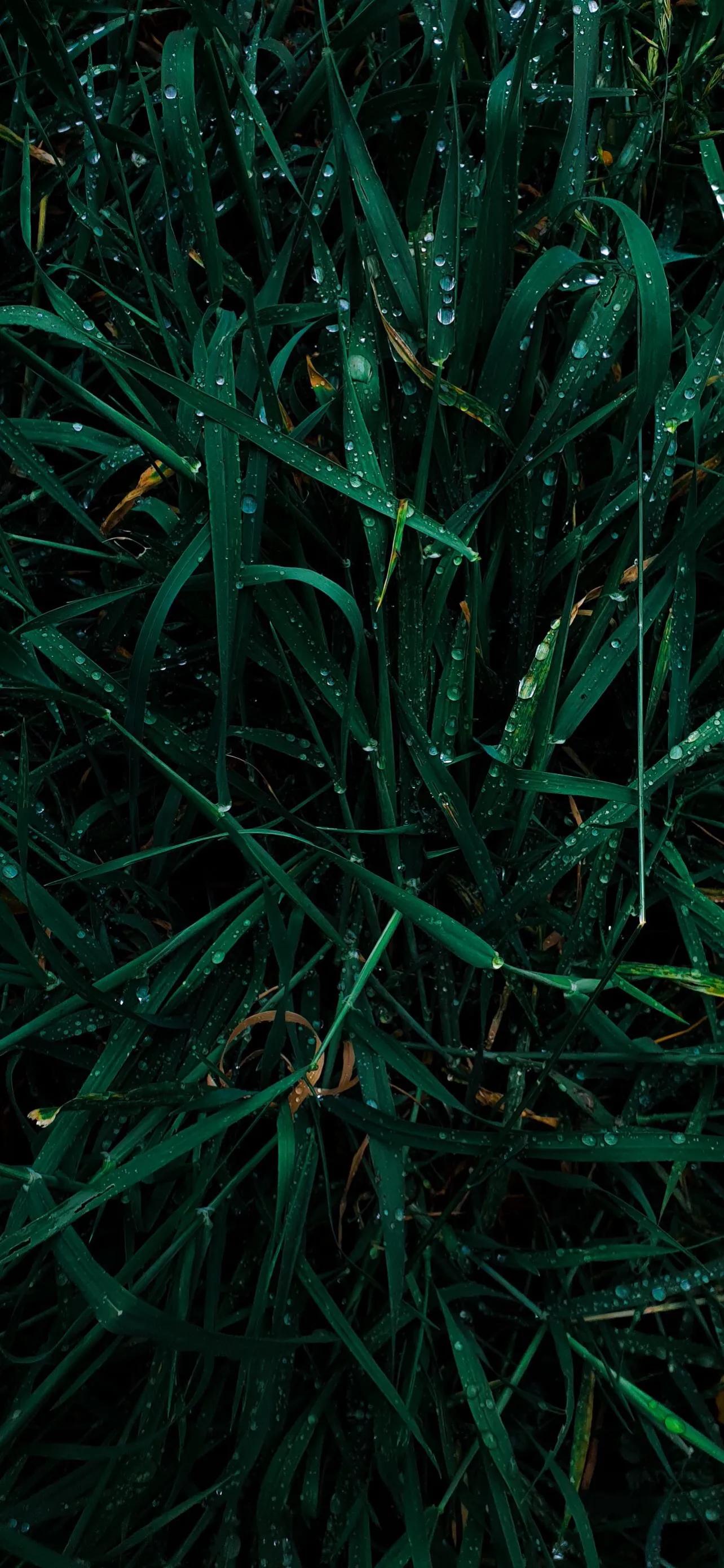 深色风景壁纸全面屏,深色壁纸手机超清100张图片