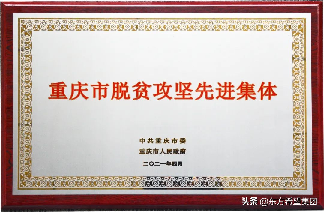 脱贫攻坚成就总结宣传片,东方希望集团丰都水泥有限公司