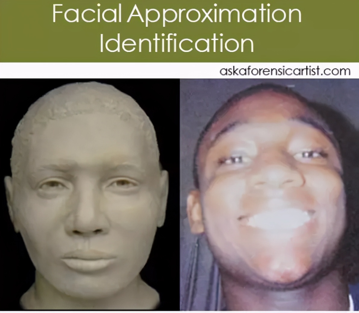 法医根据头骨还原死者,颅骨还原画像原理