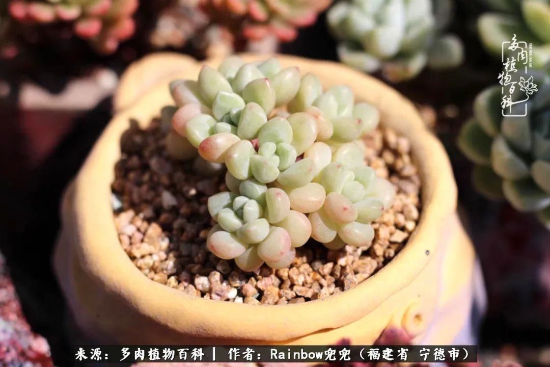 岁月无波澜余生不悲欢是啥意思,愿你岁月无波澜敬我余生无悲欢