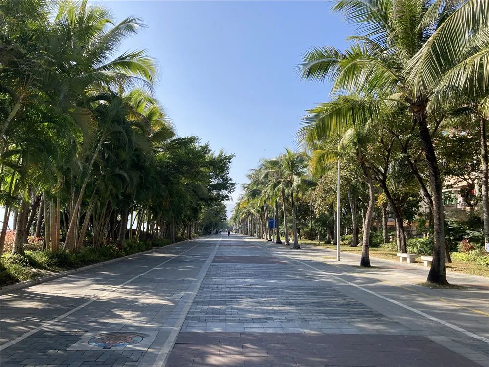 深圳盐田最大的地区,深圳盐田没有潜力吗