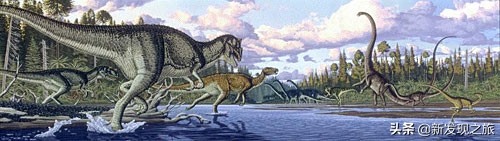 生物进化史最具代表的事件,生物进化史的意义