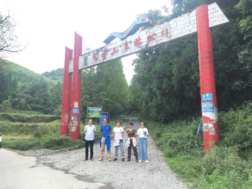 华蓥仰天窝，扎营不错的选择，约不？