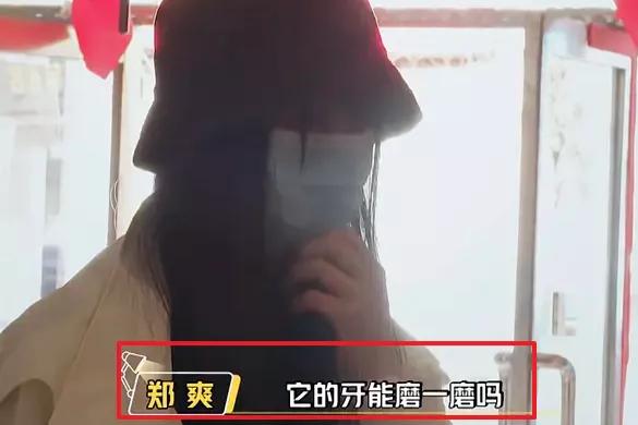 郑爽被营销反噬？9年大粉手动脱粉，粉丝集体吐槽粉其太累