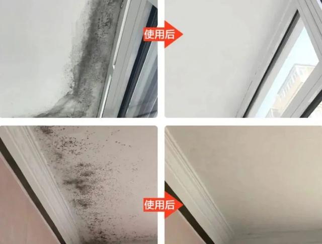 家里墙发霉，别听补漏“忽悠”花冤枉钱，教你一个新方法轻松除霉