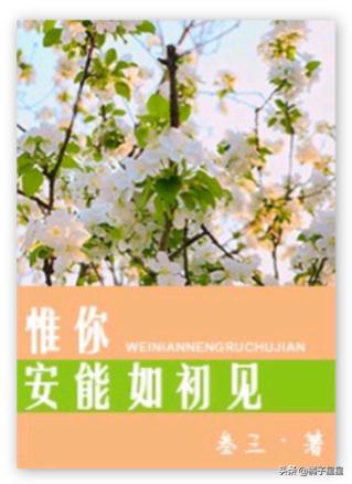 开局即是巅峰的爽文小说完结推荐,开局无敌流爽文小说推荐