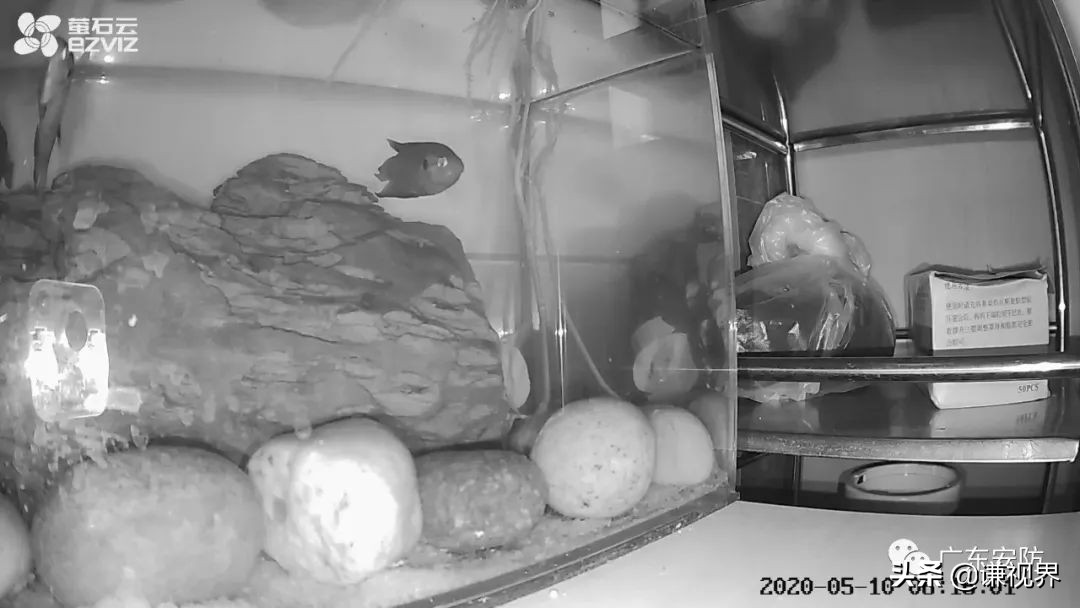 萤石云摄像头C1HC开箱测评,萤石摄像头cs-c1hc怎么使用