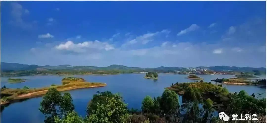 四川省仁寿县黑龙滩鱼,仁寿县黑龙滩年出鱼量