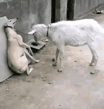 把中间的门店租下来取什么名字好,租下门面不知道取什么名字