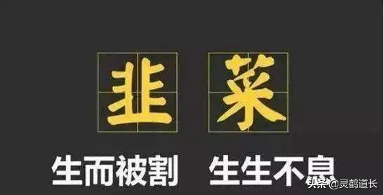 灵鹤道长怎么使用,灵鹤道长最新消息