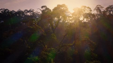 夜半*拍偷**下,成就今年第一部神级纪录片:黑暗下的生命,超乎想象