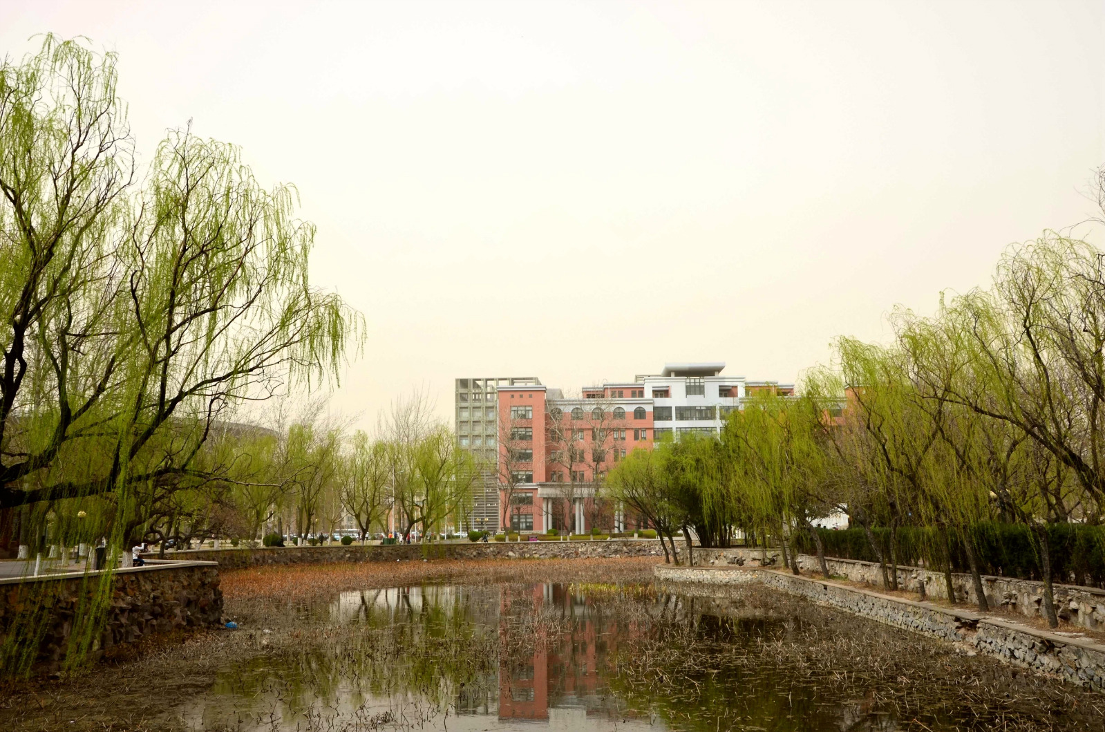 每日一校简介,每日一校大学详解
