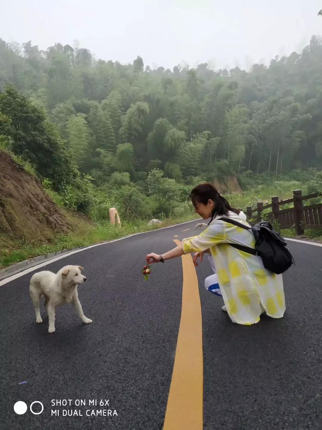 黄建芳湖南嘉禾人,黄建芳小号
