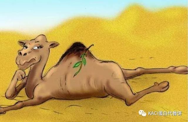 25-30岁赚的钱攒不住,25岁发现财富自由