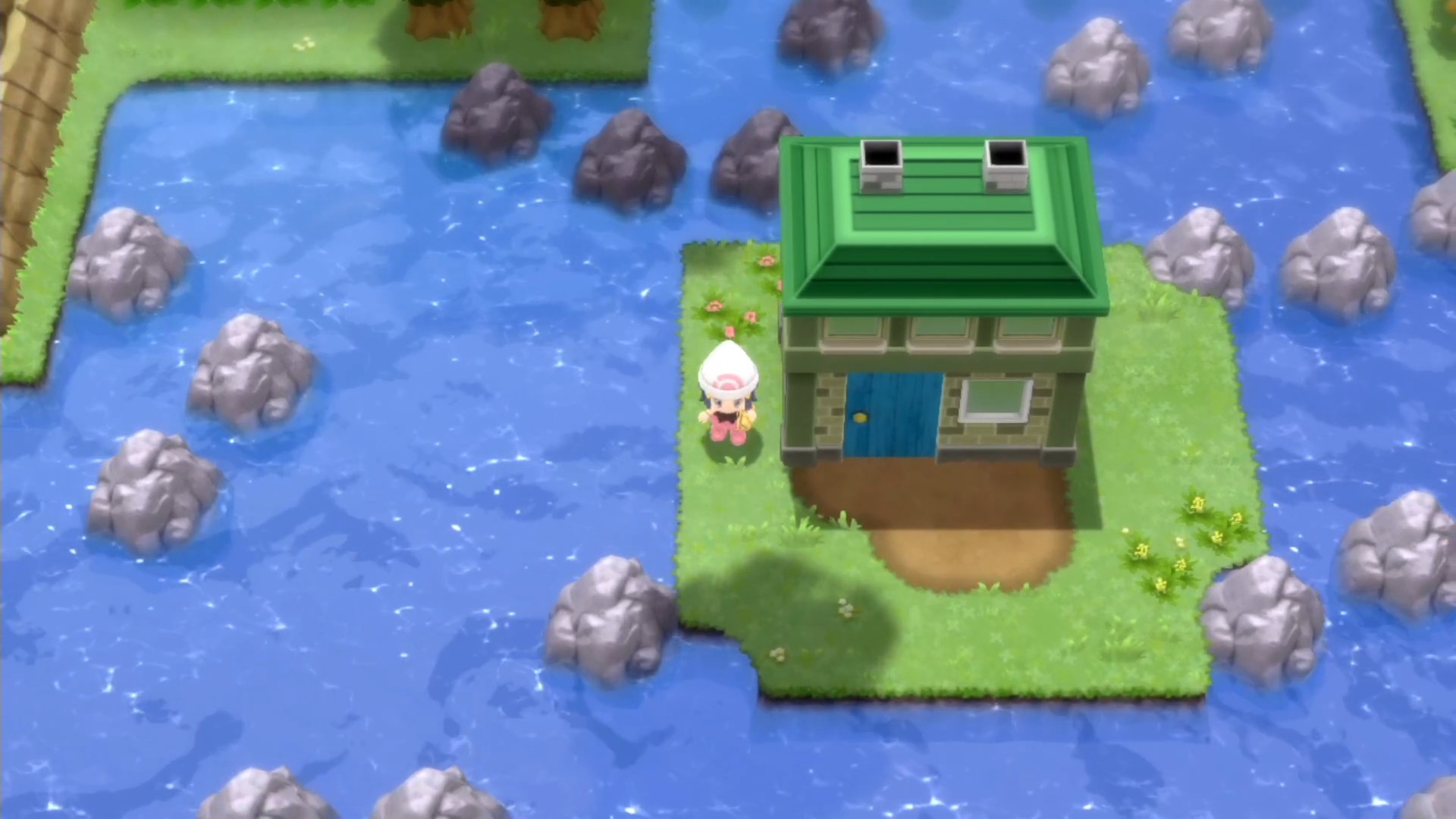 和宝可梦在一起的一天,和宝可梦一起荒野求生