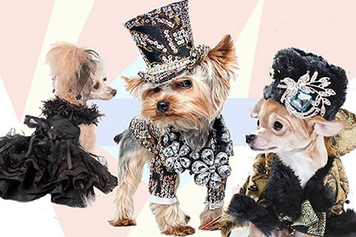 服装设计到底要不要坚持,服装设计属于什么大类