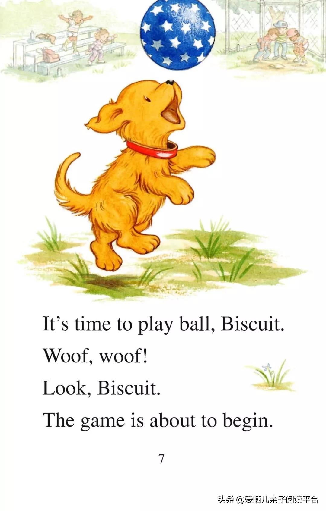 英文有声绘本《BiscuitPlaysBall》