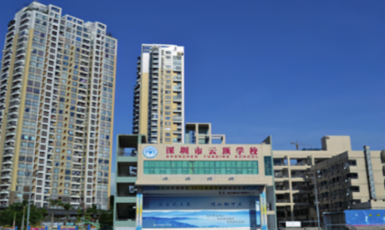 深圳云顶学校国际实验课程创办人陈大维:勤学于科技,放眼于世界