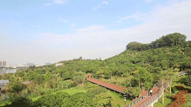 湖泊风景区推荐,深圳十大免费主题公园