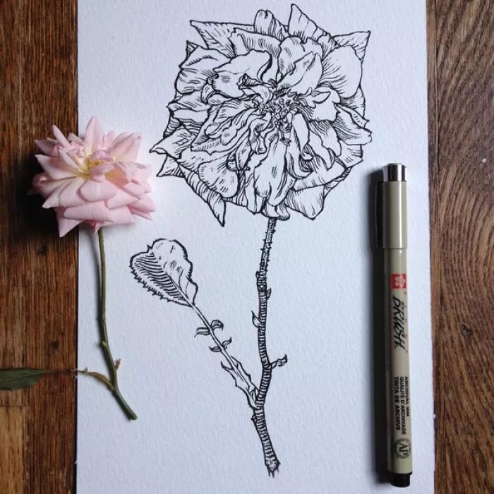 简单针管笔手绘花,简单易学针管笔手绘