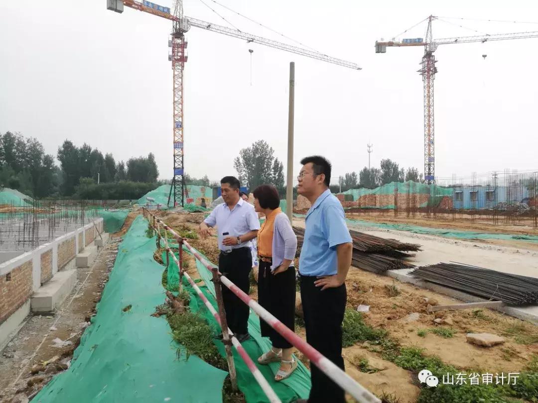 这一年收获颇丰,这一年收获了太多的温暖与感动