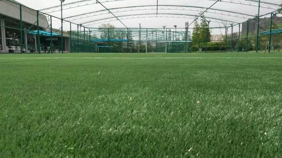 青海笼式足球场地建设,青海体育中心设计报价