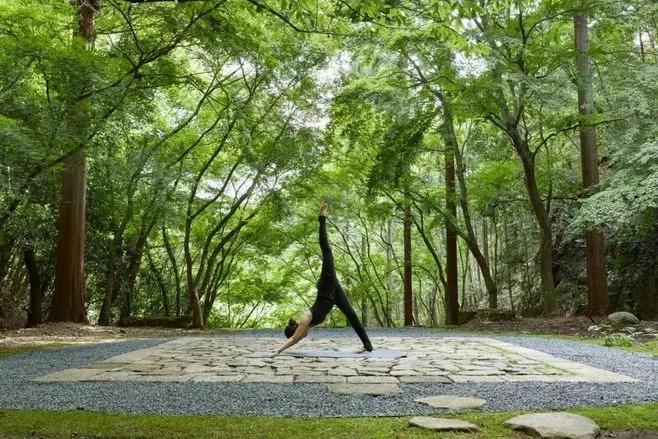 去滁州琅琊山旅游攻略,滁州白鹭岛一日游详细攻略