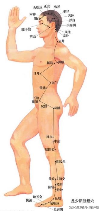 天下无疾,十二经脉流注图总结规律
