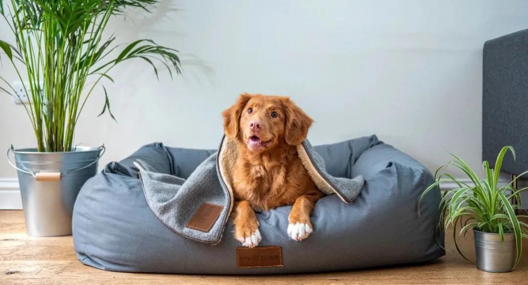 公司怎么处理婚外情的员工,公司员工搞婚外情怎么处理