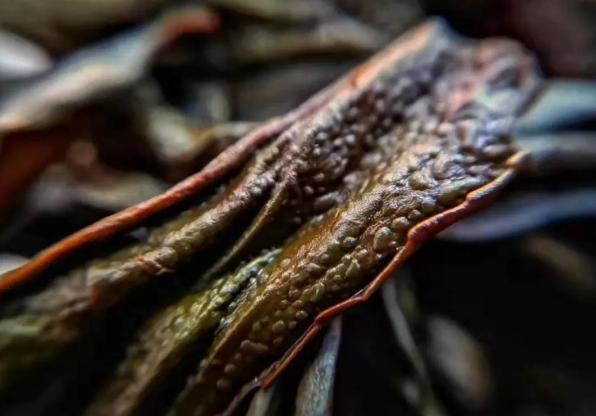 岩茶好茶的标准和特点,岩茶怎么才算好品质的茶