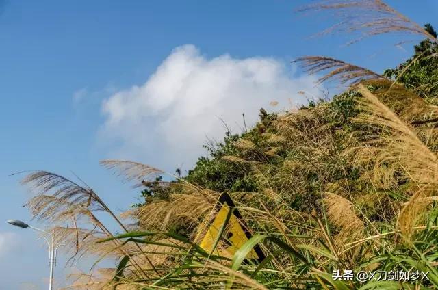 一位导游的枸杞岛之旅 (枸杞岛2021年原创游记攻略分享)