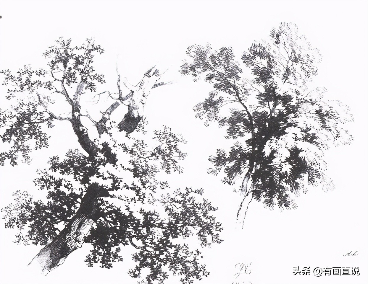 素描临摹高清大图初学,素描教程初学者临摹图