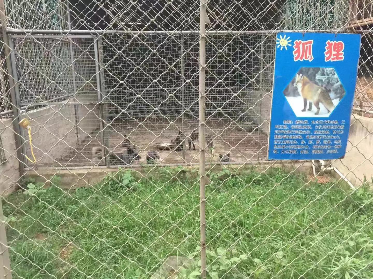 让孩子流连忘返的幼儿园,充满野趣的幼儿园