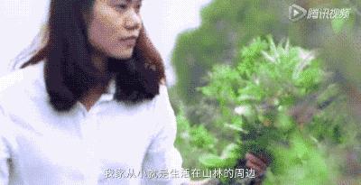 她31岁放弃北漂高薪，回归森林“捡垃圾”，用树叶打造出人间仙境