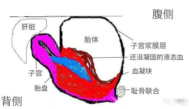 孕妇谎称摔倒,肚子痛医生通过B超发现一个残忍可怕的事实