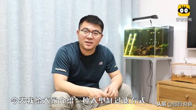 大缸什么过滤效果最好,什么过滤方式小缸效果最佳