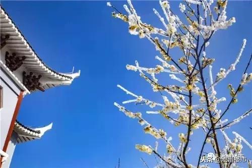 九华山荣盛温泉,九华山温泉养生谷