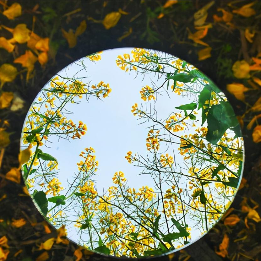 江苏省泰州市区域划分图,江苏泰州市属于华南还是华东