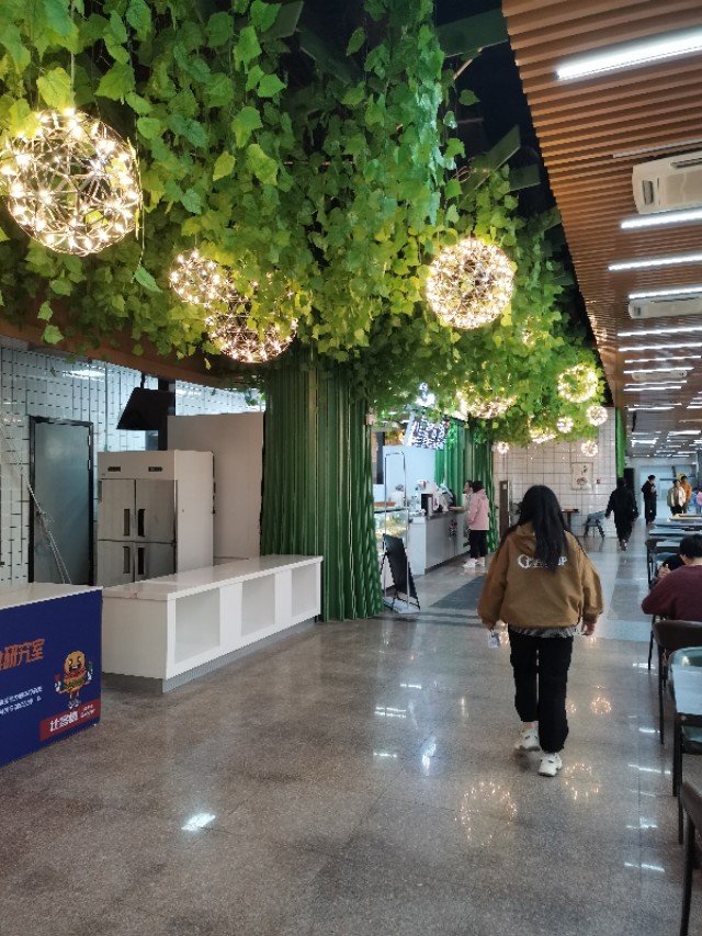 沐春简历,沐春大学